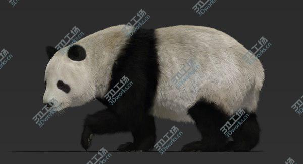 images/goods_img/20210312/3D Giant Panda (Fur) Rigged/4.jpg